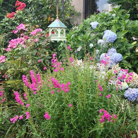 Le Petit Chateau, Matisse Noyal-Pontivy 外观 照片