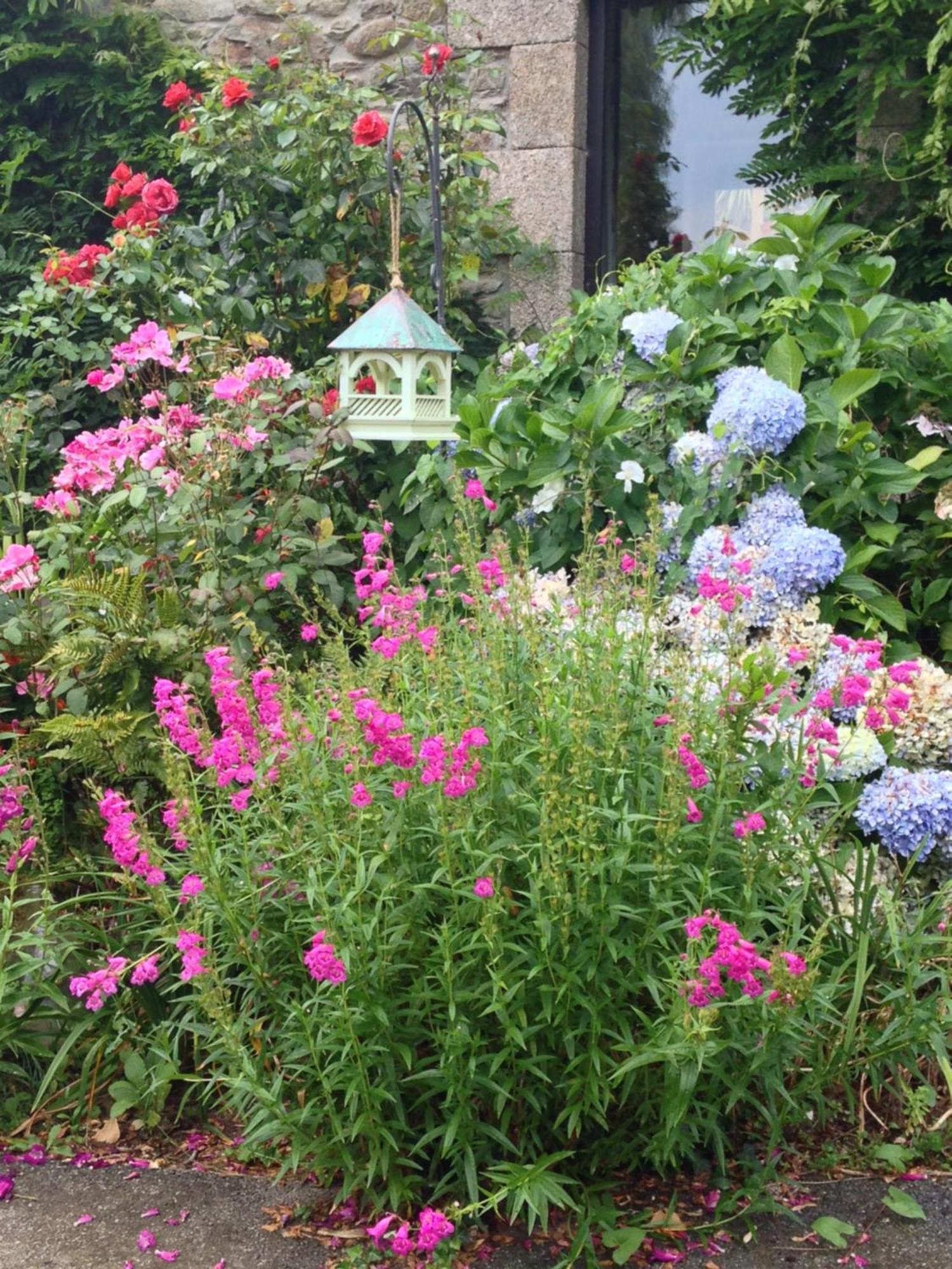 Le Petit Chateau, Matisse Noyal-Pontivy 外观 照片