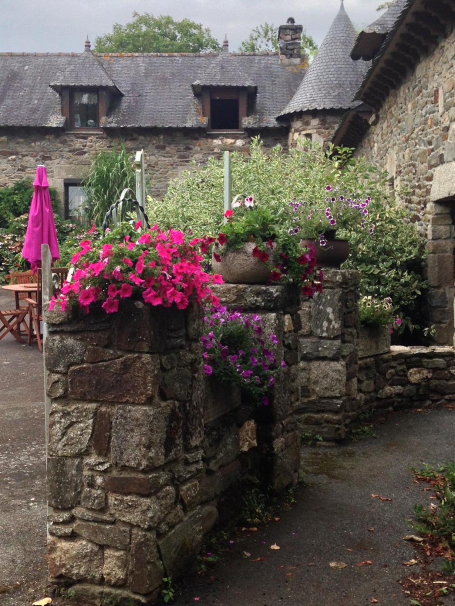 Le Petit Chateau, Matisse Noyal-Pontivy 外观 照片