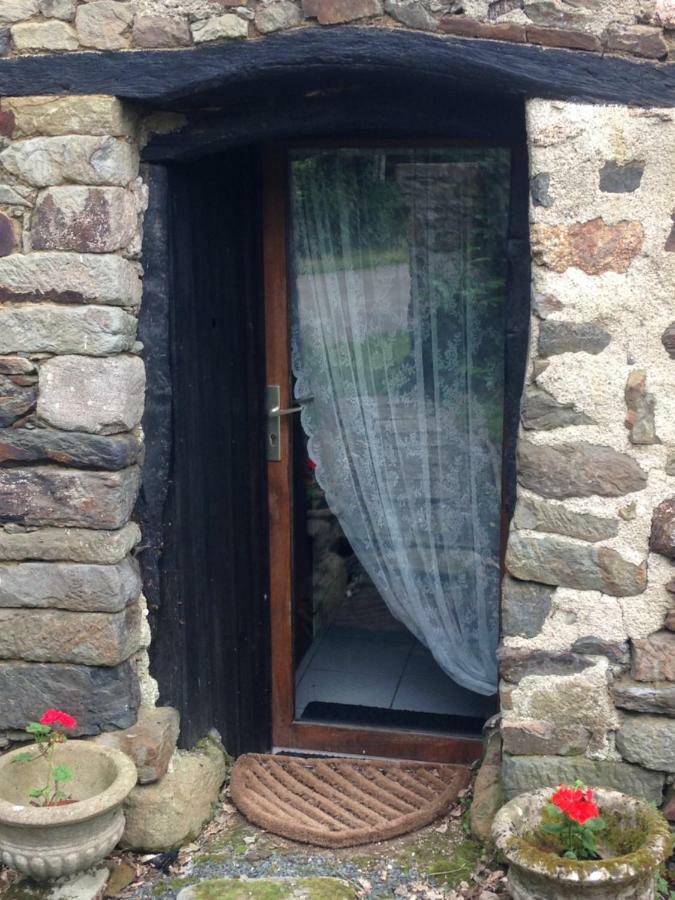 Le Petit Chateau, Matisse Noyal-Pontivy 外观 照片